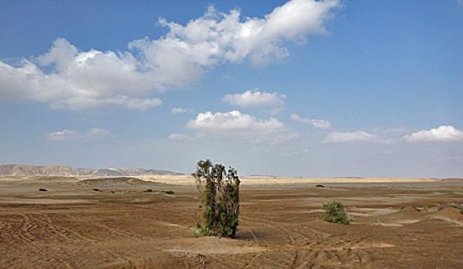 Faszination Wüste im Wadi al Gamal Nationalpark in Süd-Ägypten.