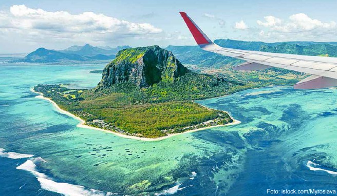 FERNREISE-SPECIAL Im Urlaub nonstop an den Palmenstrand