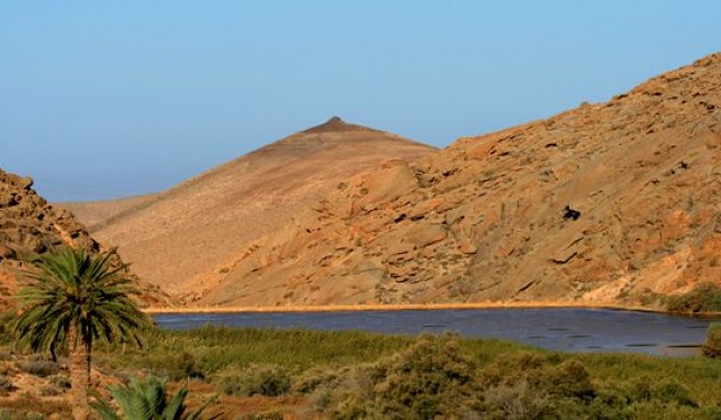 Reisen nach Fuerteventura: Sonne, Sand und Meer und Naturparadiese wie Las Peñitas
