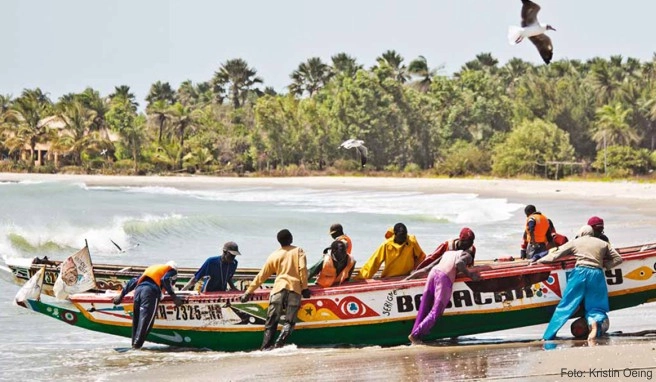 Kleines Land am großen Fluss für Entdecker Reisebericht Gambia