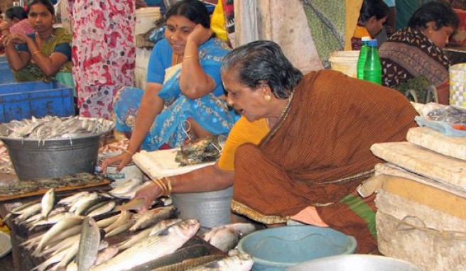 Fischmarkt in Pondicherry, Süd-Indien