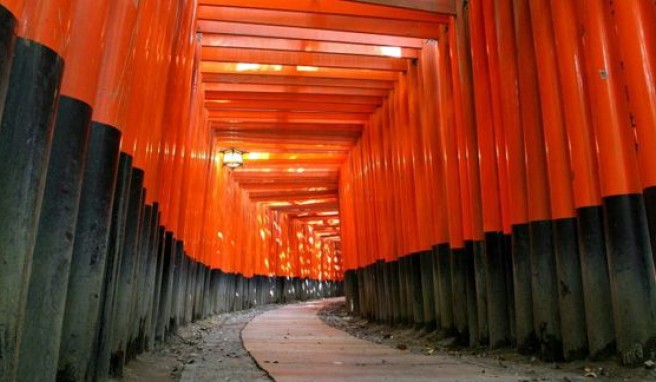 Torii-Weg zum Fushimi-Inari-Schrein in Kyoto, Japan. 
