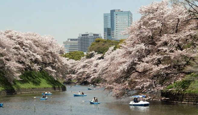 Japan-Highlights zwischen Hightech, Megacity und Tradition