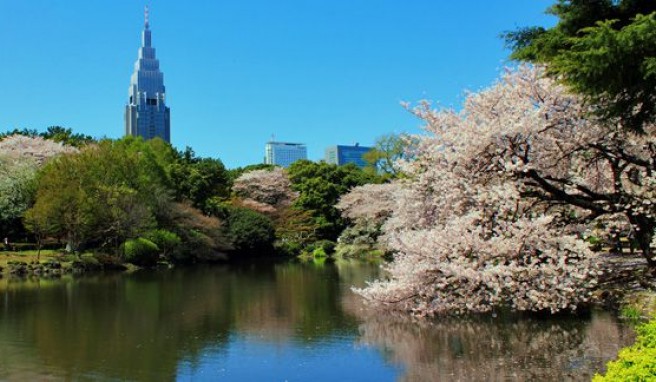 Japans Parks sind Naherholungsoasen und kleine Kunstwerke