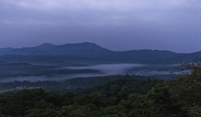 Urwüchsige Landschaften, wie das Bergland von Coorg findet man  in Karnataka, Indien
