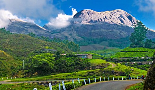 Munnar Hill Station: Im Land des Tees in Indien##Foto: wikimedia.org, Bimal K C Munnar Hill Station: Im Land des Tees in Indien