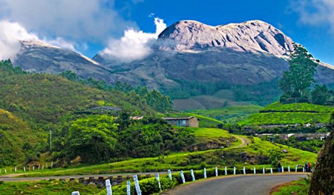 Munnar Hill Station: Im Land des Tees in Indien