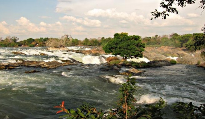 Khon Phapheng Wasserfälle des Mekongs, Laos