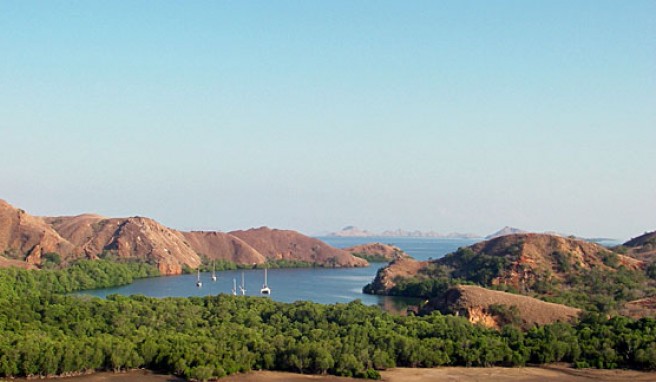Komodo, die Waran-Insel vor Lombok, Indonesien.##Foto: Wikimedia Commons, Liam Clancy Komodo, die Waran-Insel vor Lombok, Indonesien