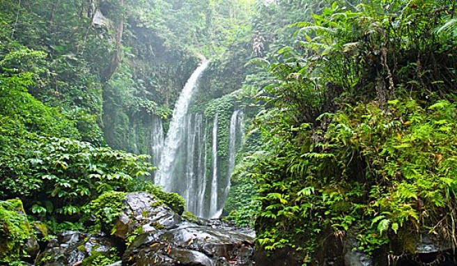 Imposante Wasserfälle wie der Tiu Kelep finden sich im Inselinneren von Lombok, Indonesien