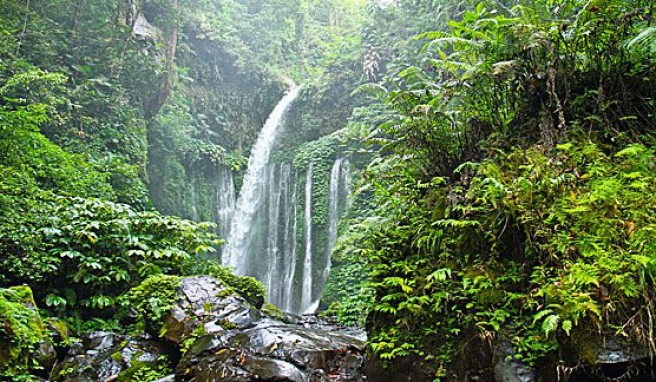 Imposante Wasserfälle wie der Tiu Kelep finden sich im Inselinneren von Lombok, Indonesien##Foto: Wikimedia Commons, Jordy Theiller Imposante Wasserfälle wie der Tiu Kelep finden sich im Inselinneren von Lombok, Indonesien