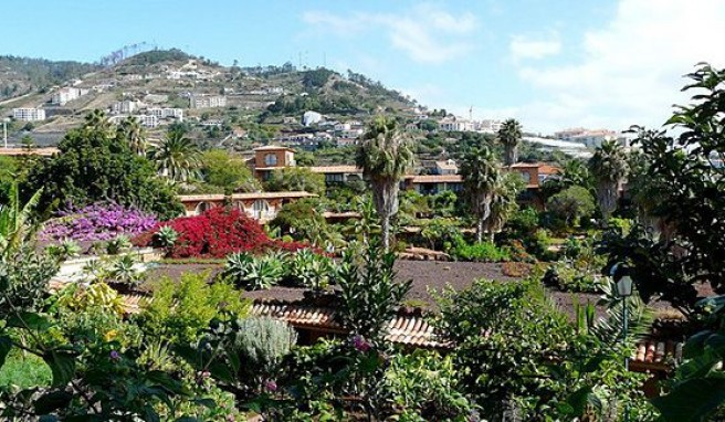 Madeira, Portugals grüne Blumeninsel