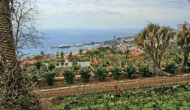 Blick über Funchal und den Hafen auf Madeira, Portugal
