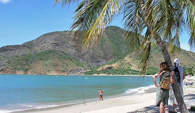 Strandparadiese unter Palmen auf der Isla Maragrita in Venezuela