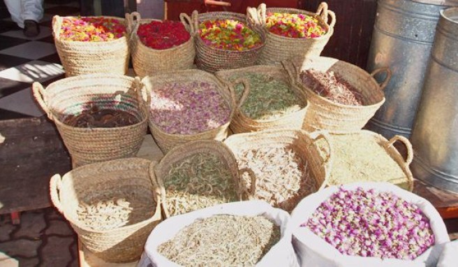 Laden eines Kräuterhändlers in Marrakesch, Marokko