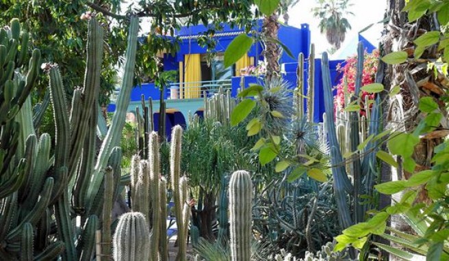 Yves Saint Lauraints Jardin de Marjorelle in Marrakesch, Marokko