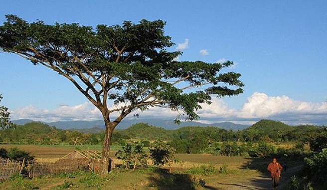 Myanmar Reisen  Myanmar - Burmas wilder Westen