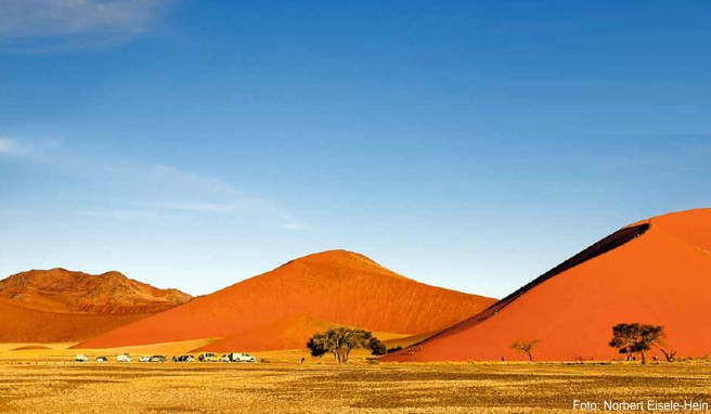 Wie Ameisen auf einem gigantischen Sandhaufen: Wanderer steigen auf die »Düne 45« im Namib-Naukluft-Park