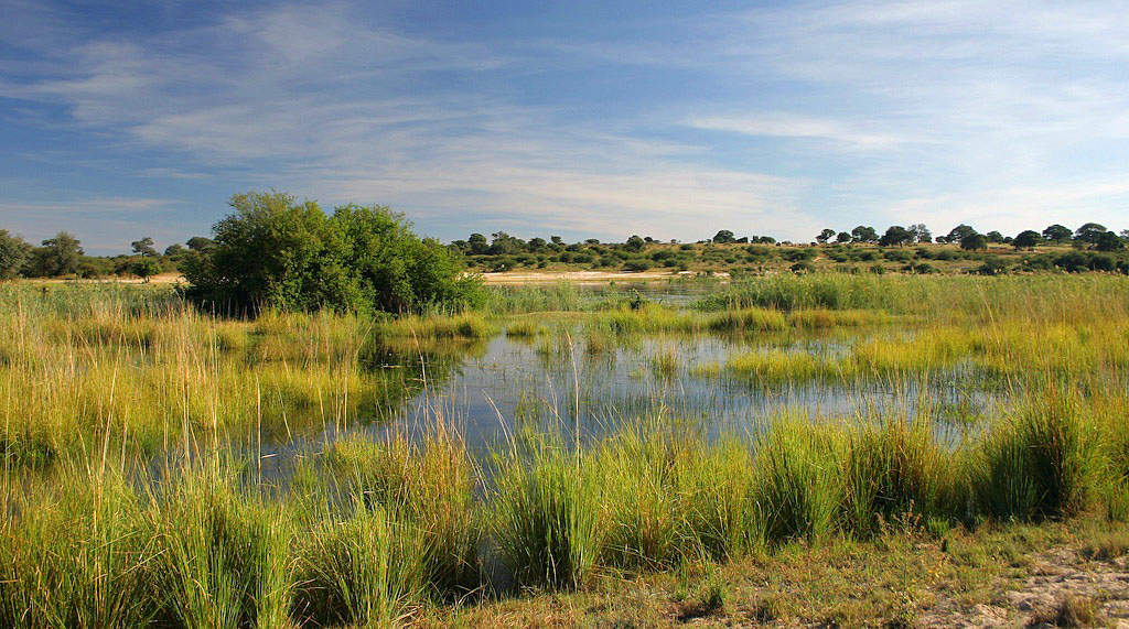 Flussidylle auf dem mittleren Abschnitt, wo der Fluss Okavango heißt, Namibia