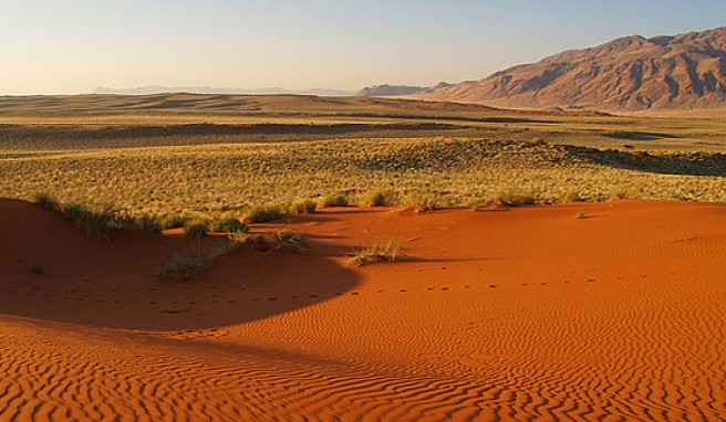 Safari in Namibia  Namibia - Auf Safari in unberührter Wildnis