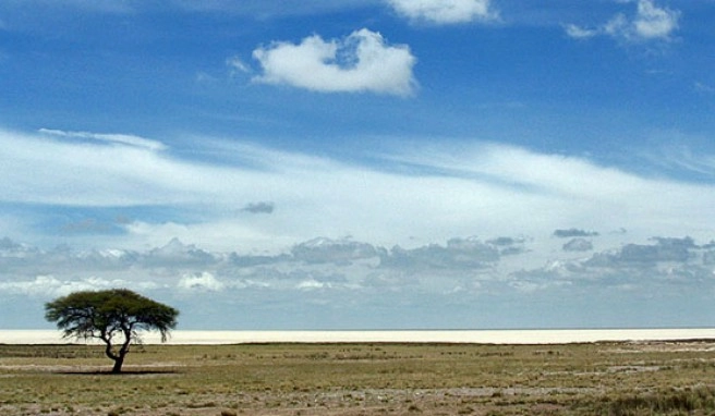 Unendliche Weite der Etosha Pfanne, Namibia