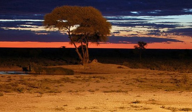 Nachtstimmung von einer Lodge-Terrasse im Etosha Nationa Park in Namibia