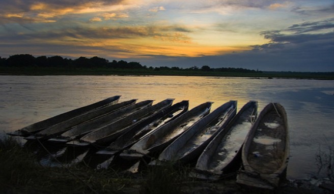 Im Chitwan Nationalpark in Nepal