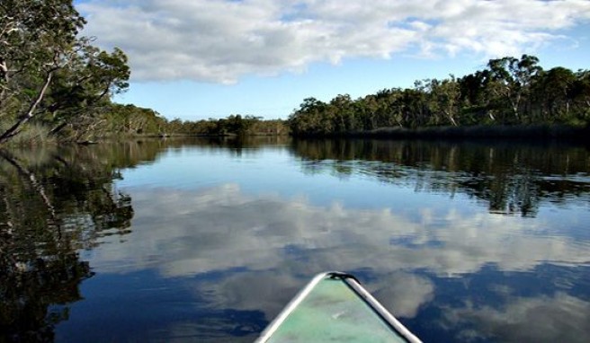 Noosa Heads, die Everglades von Queensland, das Tropenparadies in Australien##Foto: Flickr.com, andooouk Noosa Heads, die Everglades von Queensland, das Tropenparadies in Australien