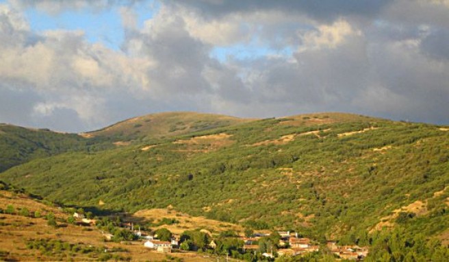 Grünes, bergiges Asturien im Norden Spaniens