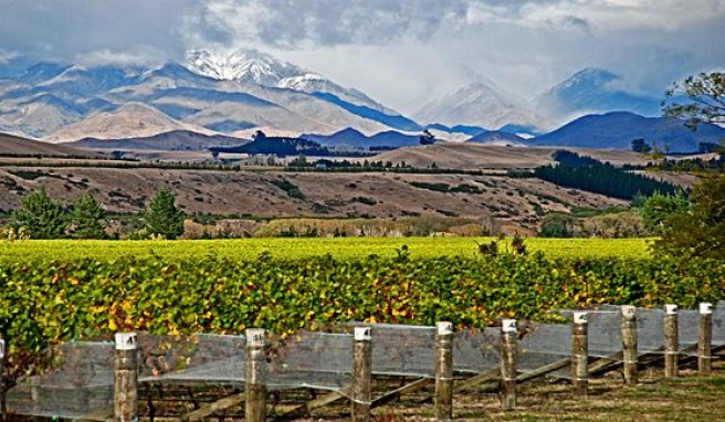 Weinbau im Awatere Valley, Maelborough, Neuseeland