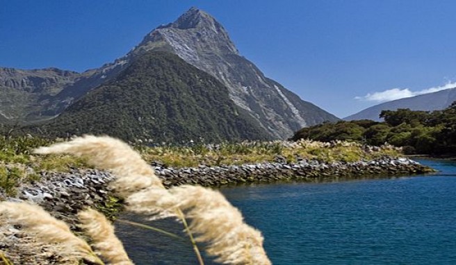 Der Mitre Peak am Milford Sound im neuseeländischen Fjordland