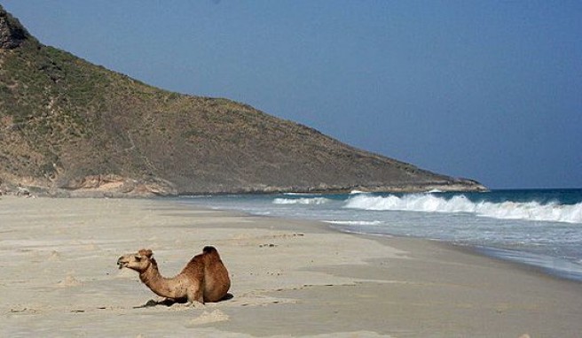 Reisen nach Oman, Dhofar Strand Salalah
