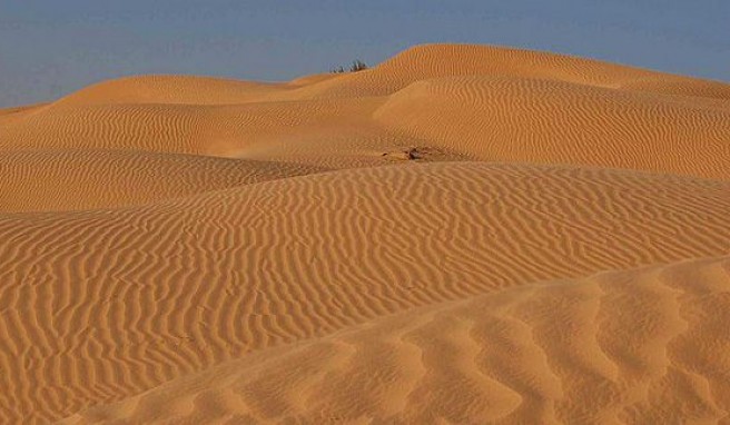 Faszination Wüste im Oman