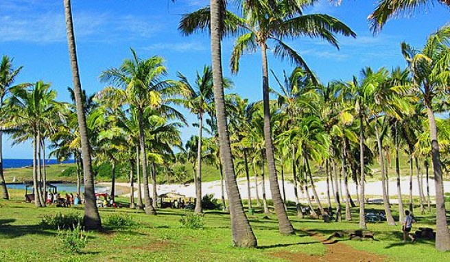 Urlaub auf den Spuren der Rapa Nui am Anakena Beach auf der Osterinsel, Chile