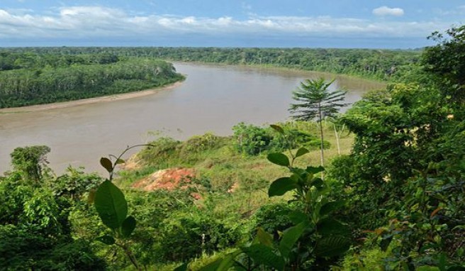 Rio Madre de Dios in Peru, der Fluss aus Fitzcarraldo