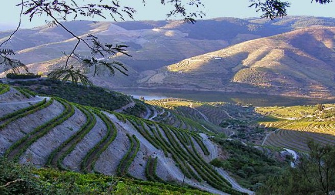 Im Portweinland im Tal des Duoro in Portugal reisen## Foto: Wikimedia Commons, Bruno Rodrigues Im Portweinland im Tal des Duoro in Portugal reisen