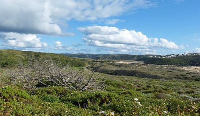 Serra Monchique im Hinterland der Algarve, Portugal