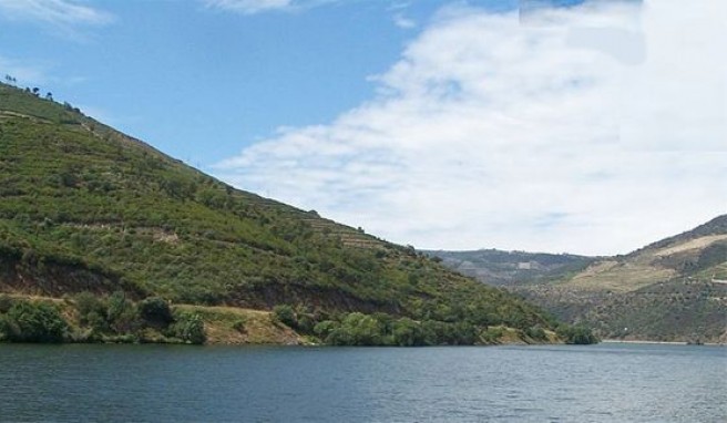 Die Weinhänge am Douro, wo der Portwein herkommt, Portugal