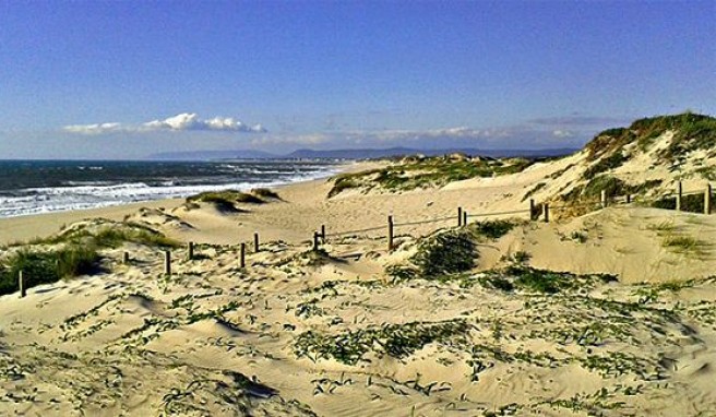 Strand und Dünen von Póvoa de Varzim, Nord-Portugal