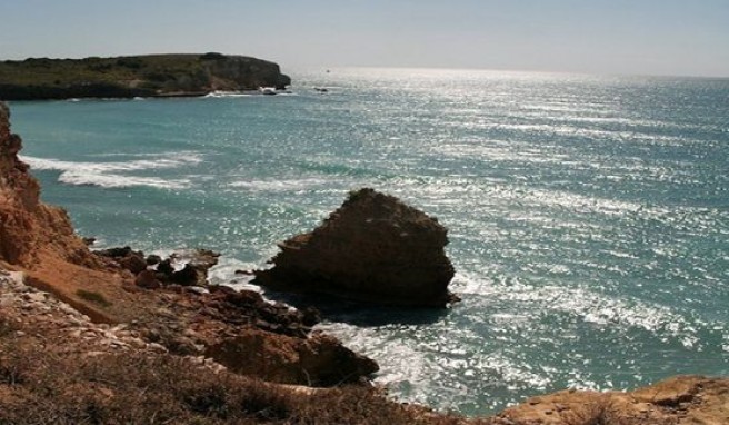 Puerto Ricos Steilküsten, Strandparadiese und Regenwald