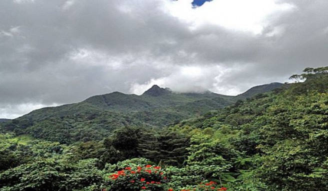 Im Bergland von Puerto Rico