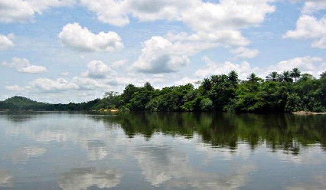 Tiwai Island, Regenwaldinsel in Sierra Leone