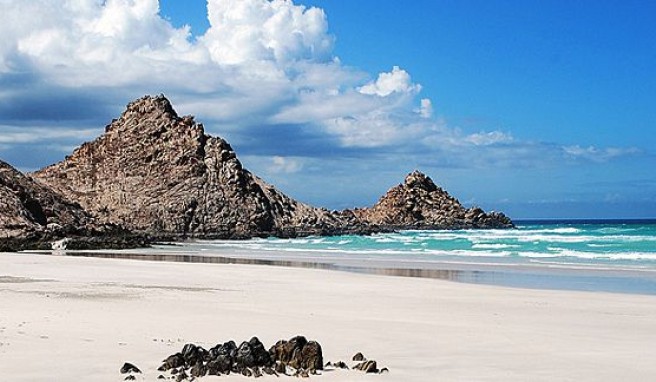 Insel im Jemen  Sokrota erwacht aus dem Dornröschenschlaf