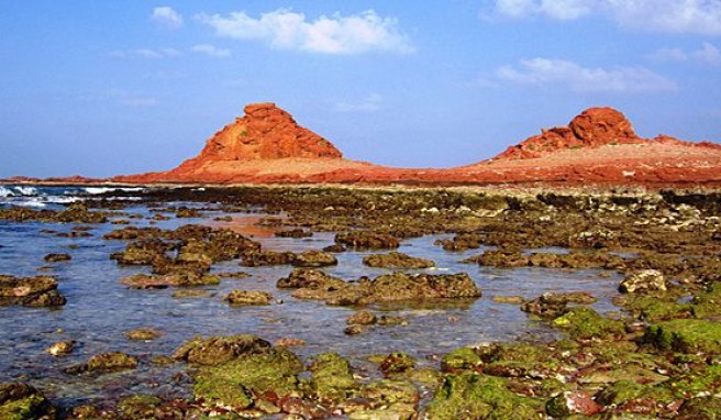 Jemens schöne Insel Sokotra mit der unberührten Natur bereisen