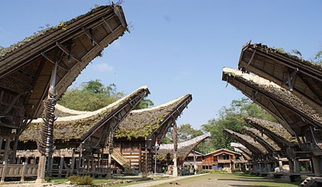 Ursprüngliche Landschaften und uralte Kulturen im Thorajadorf in Sulawesi, Indonesien