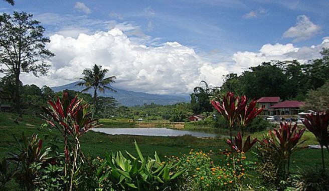 Landschaft bei Rantepao in Tana Toraja in Sulawesi, Indonesien