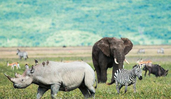 SERENGETI & NGORONGORO-KRATER  Das wohl beeindruckendste Safari-Erlebnis unserer Zeit