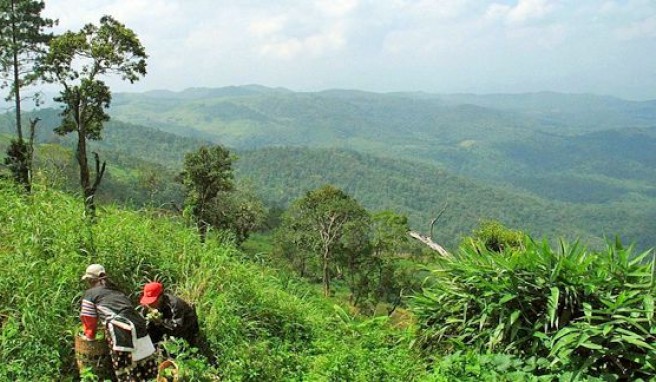 Lahu-Bauern in den Bergen von Amphoe Omkoi in der Provinz Chiang Mai, Thailand