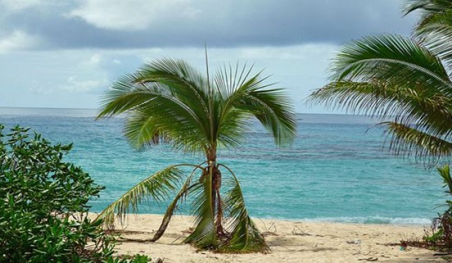 Tonga und das leichte Nichts