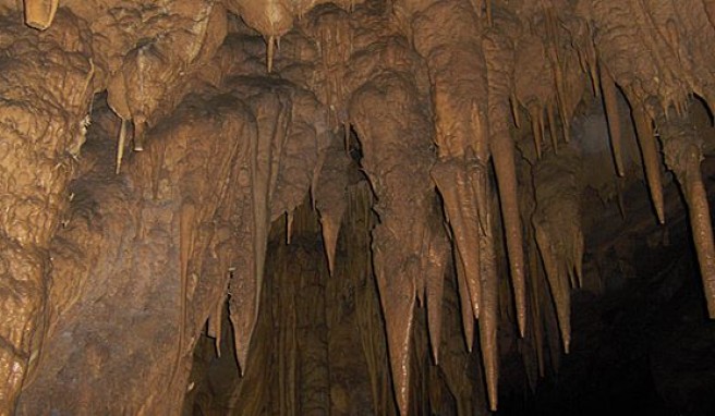 Auf Humboldts Spuren die Tropfsteinhöhle Cueva del Guacharo in Venezuela entdecken